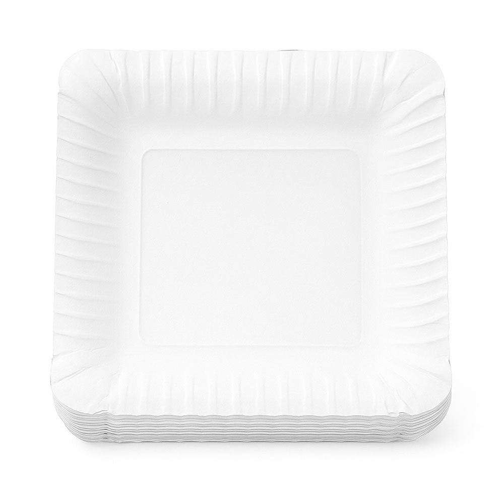 Paper Carton Plate White